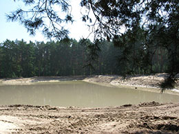 Спільними зусиллями відновили лісове озеро