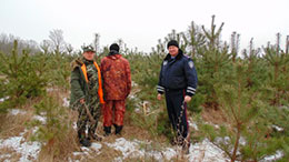 На Черкащині рейдові бригади затримують ялинкових браконьєрів