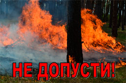 Лісівники закликають бути обережними в лісах Черкащини