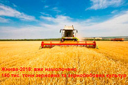 Жнива-2018: вже намолочено 150 тис. тонн зернових та зернобобових культур