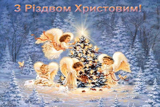 З світлим радісним святом Різдвом Христовим !