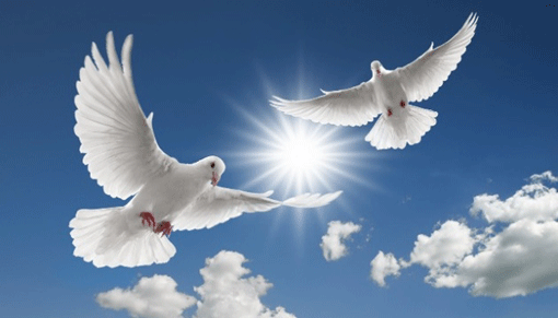 Міжнародний день миру