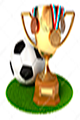 СІТКА розіграшу кубку по футболу серед команд територіальних громад Черкаського району в 2021 році